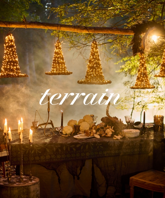 terrain