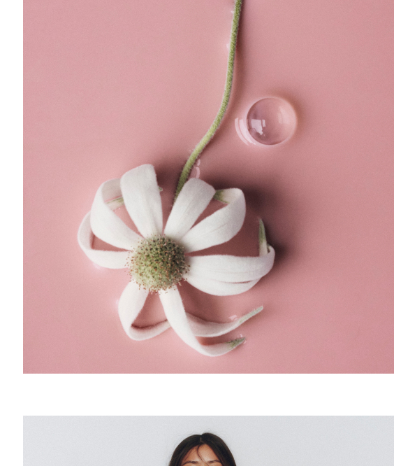 White daisy flower with green stem and water droplet on pink background in minimalist flat lay composition.