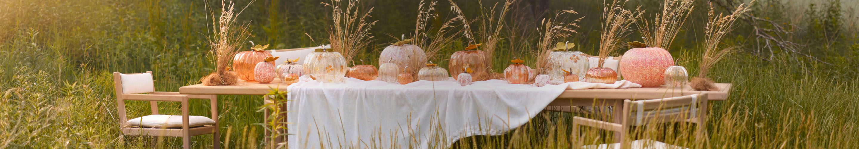 Outdoor autumn table setting with orange and white pumpkins, tall dried grasses, and white tablecloth in golden field
