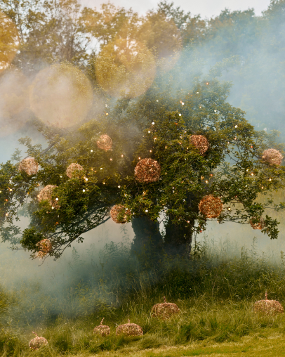 Mystical tree with glowing golden orbs in its branches, surrounded by ethereal mist and soft sunlight filtering through.