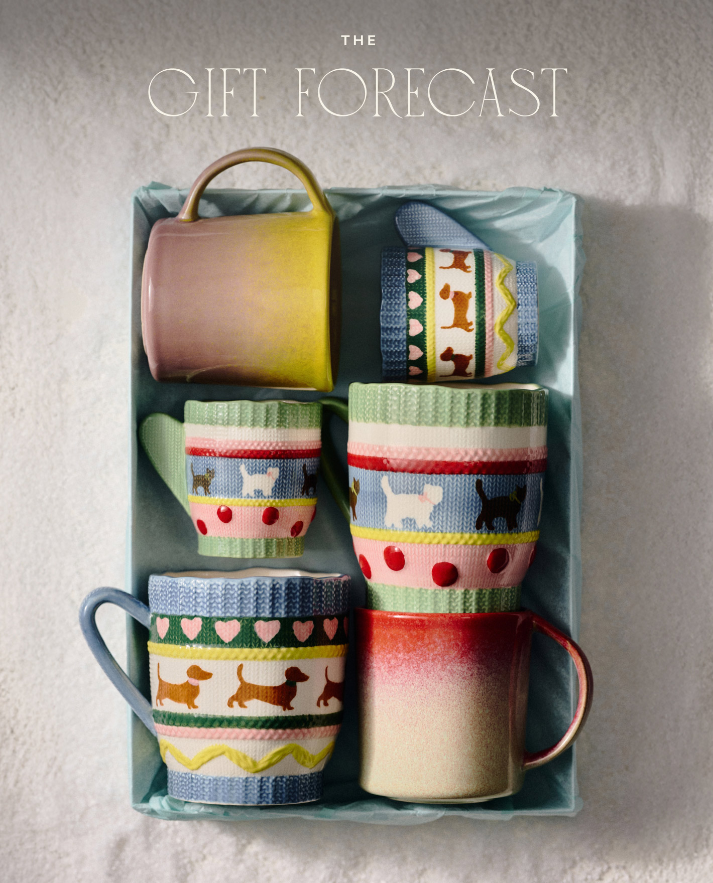 Five colorful mugs with knit sweater cozies featuring dog patterns in a teal gift box with text THE GIFT FORECAST above.