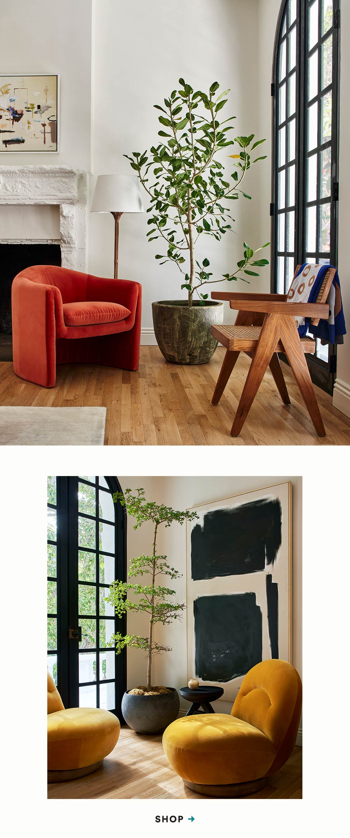 【Anthropologie】Kimora クラシックガーデン 壁紙 York Kimora's Garden Wallpaper - Etsy