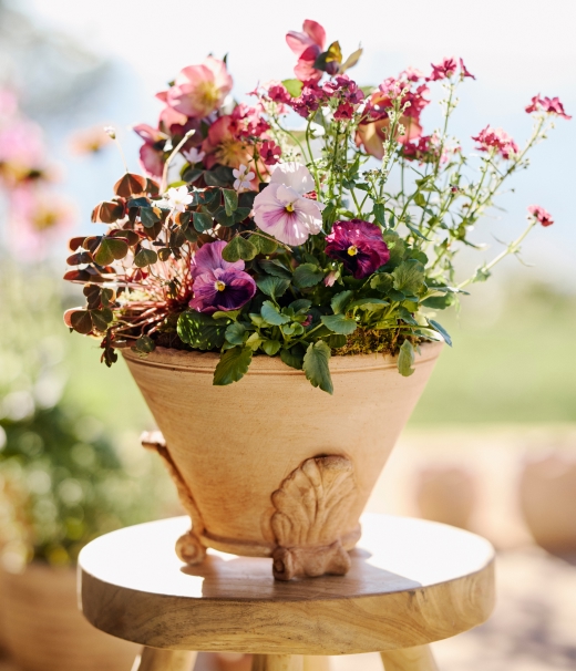 Outdoor Furniture & Garden Accessories