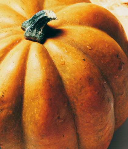 Close-up of an orange pumpkin with deep ridges and a green stem, showing natural texture and warm autumn tones.