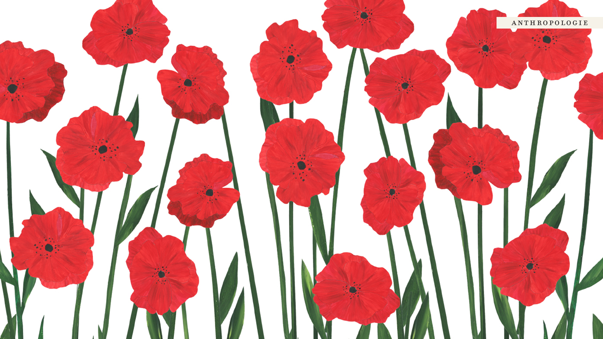 Free Virtual Backgrounds, Flower Zoom Backgrounds