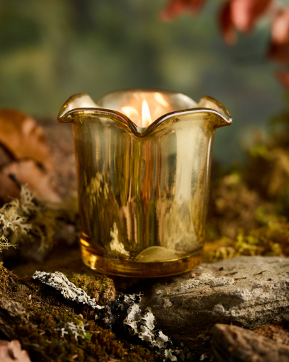 Golden brass tulip-shaped candle holder with lit candle, placed on mossy bark in natural outdoor setting.