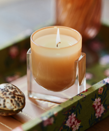 Lit amber candle in clear glass holder on decorative tray with seashell and greenery in soft natural light.