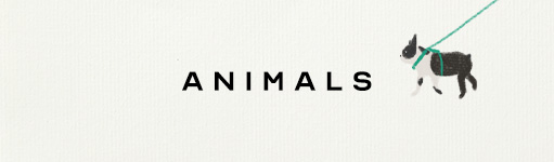 icons-novelty-animals-curation
