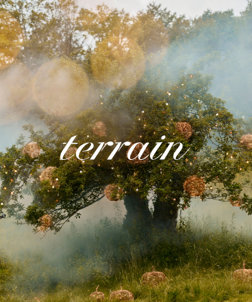 Large tree surrounded by mist with the word "terrain" in white italic text overlaid in the center