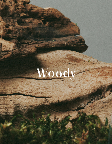Woody 