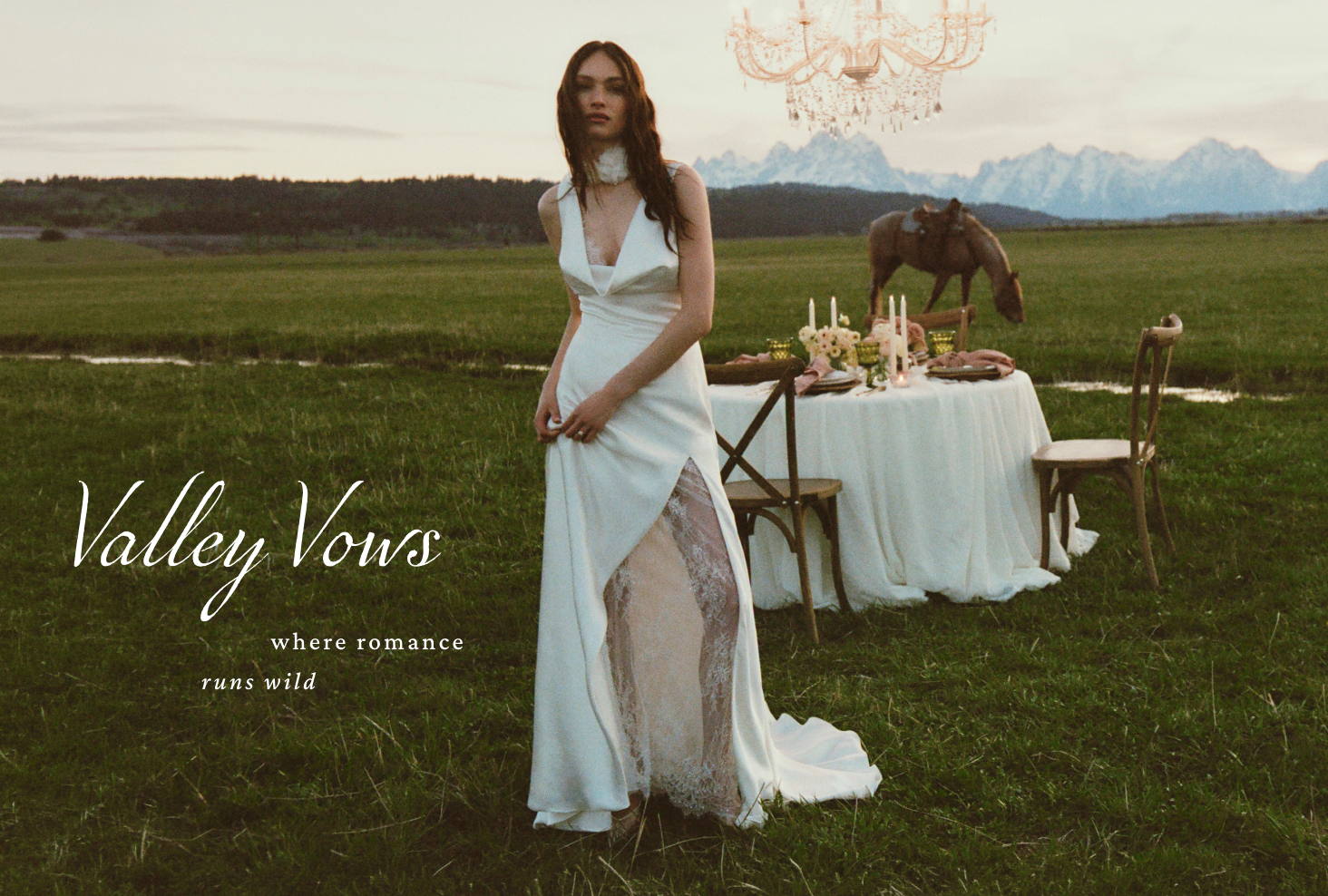 shop the new gown collection