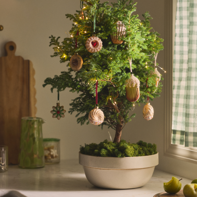 Small potted evergreen tree decorated with pastry and cookie ornaments, white lights, and moss at base in cream bowl.
