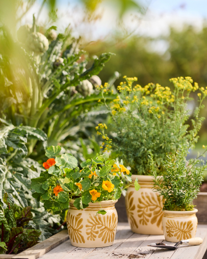 Planters