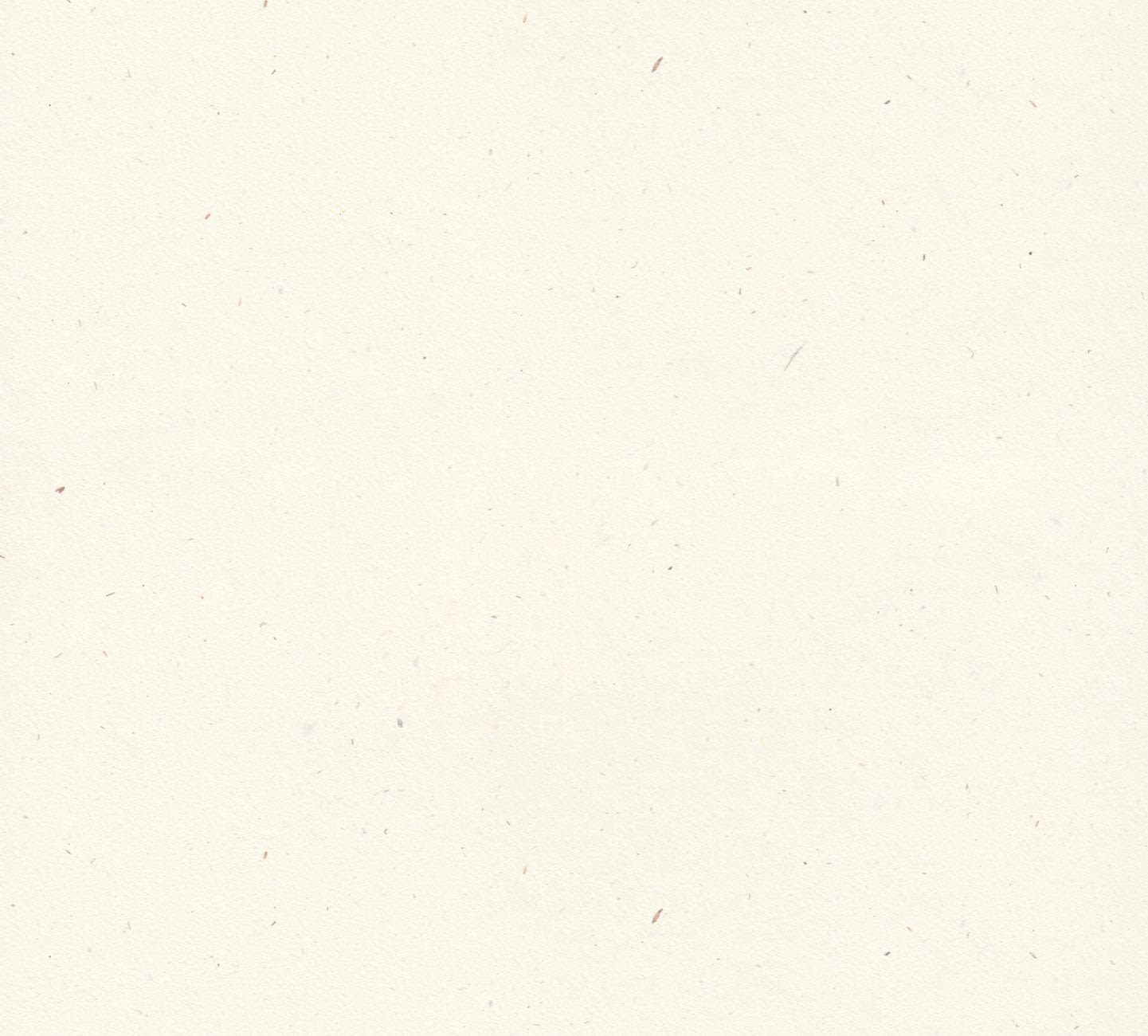 Meet the Community: Bee Shapiro, Founder of Ellis Brooklyn