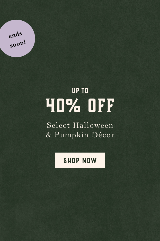 Shop up to 40% off select halloween decor