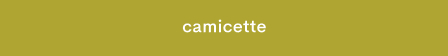 White text reading "blouses" centered on a golden yellow rectangular banner background