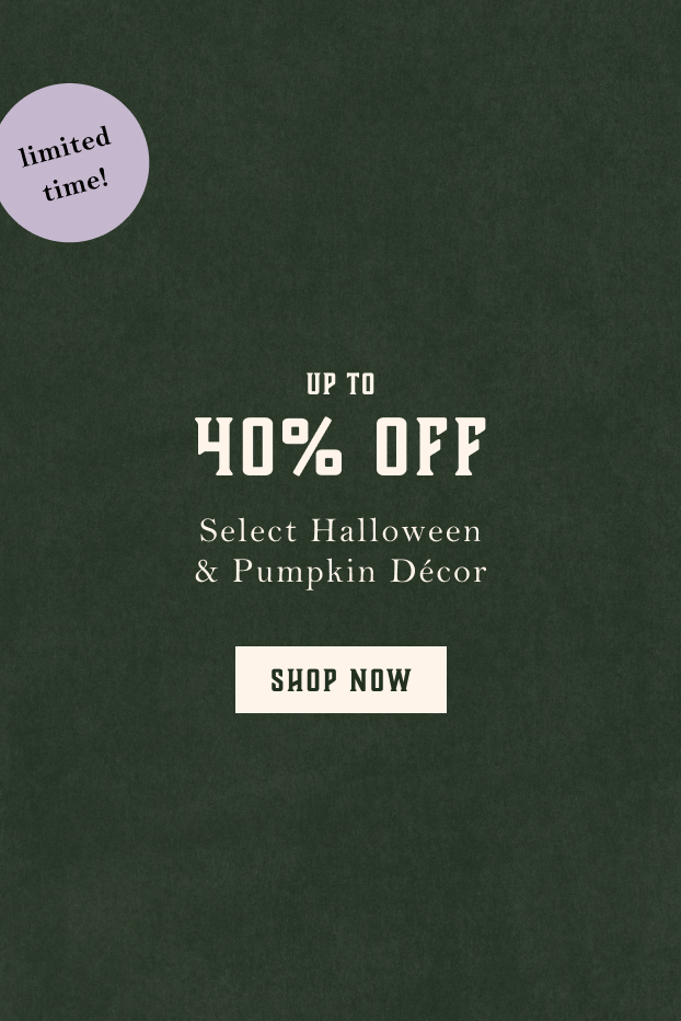 Shop up to 40% off select halloween decor