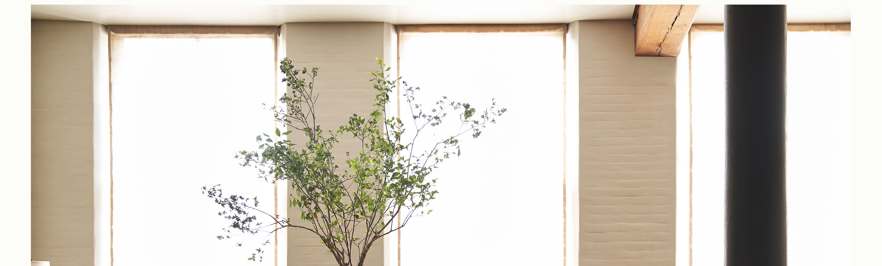 Christiane Lemieux Collection Anthropologie Anthropologie