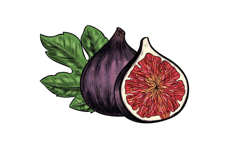 Discover the health benefits of figs