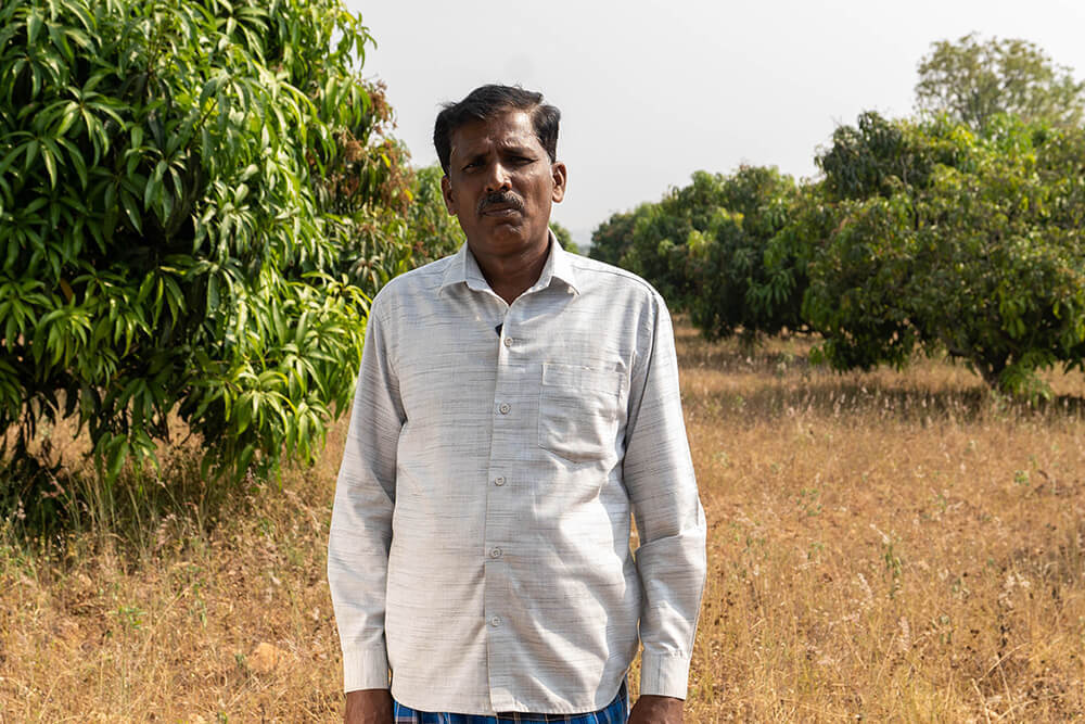 Rooted to Love- An Account of a Mango Farmer from Ramnagara 