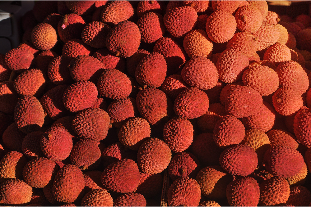 The Irresistible Charm of Lychee: Origins, Cultivation Insights, and Cultural Significance