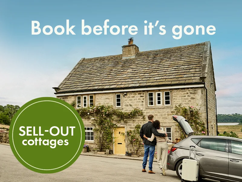 Book before it's gone