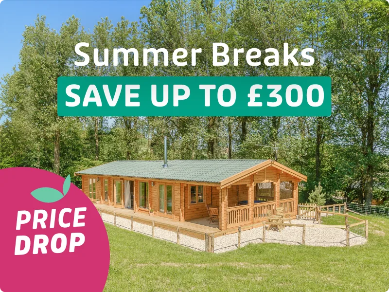 Your Summer self will thank you