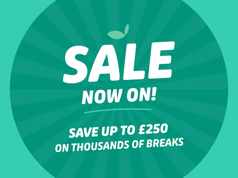 Longer days, bigger adventures