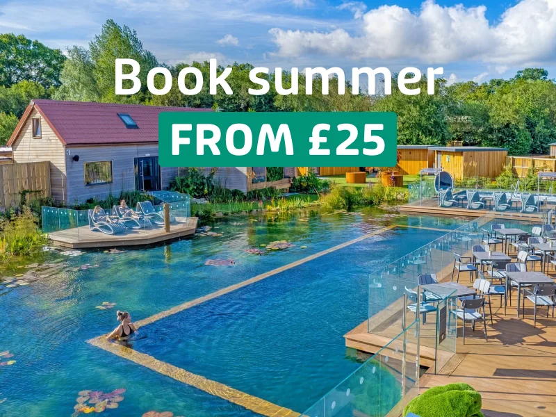 Your Summer self will thank you