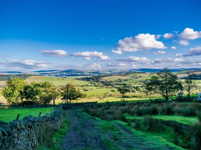 Forest of Bowland