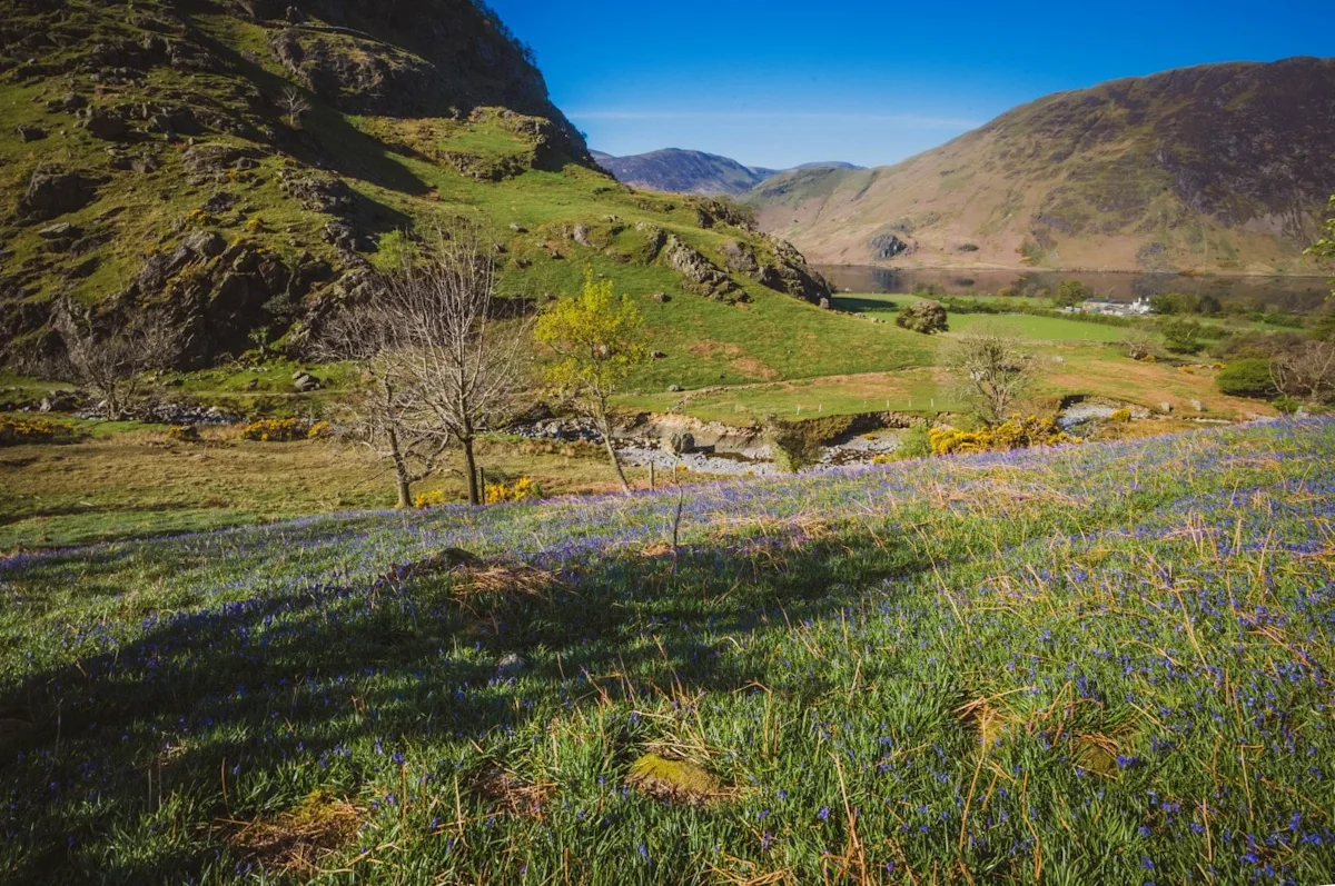 Cockermouth countryside