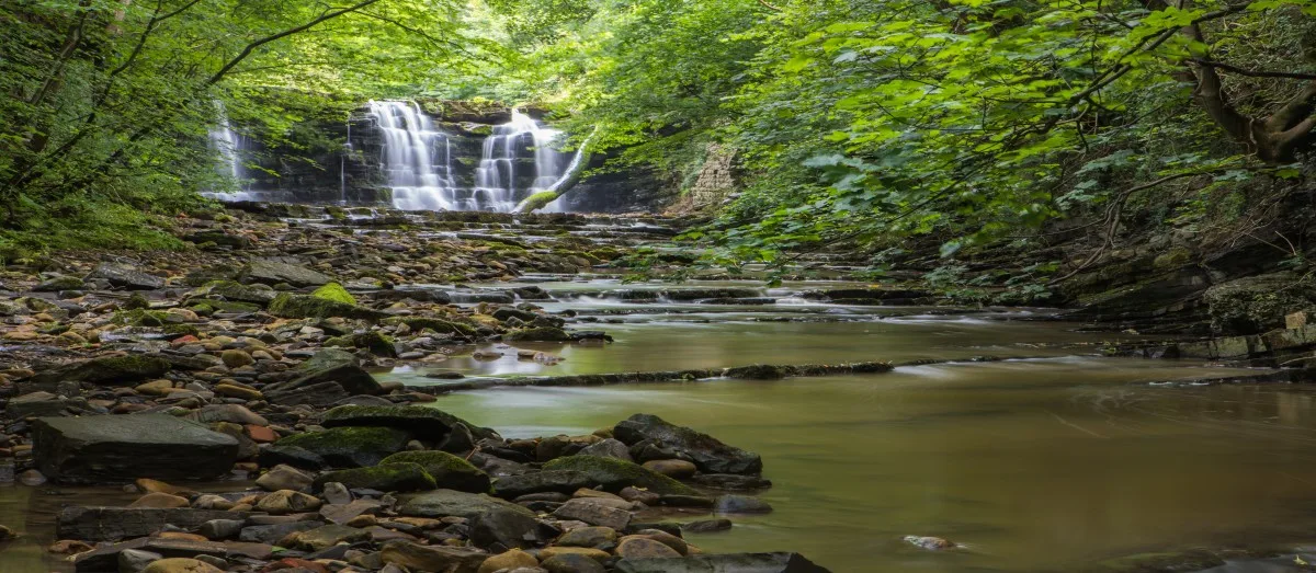 Hidden waterfall in the Forest of Bowland, Ribble Valley, Lancashire