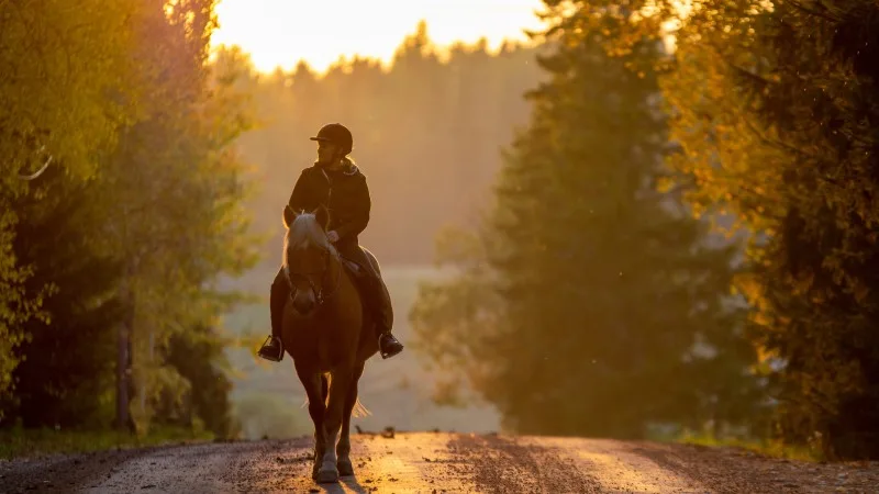 Woman horseback riding on a country road at sunset