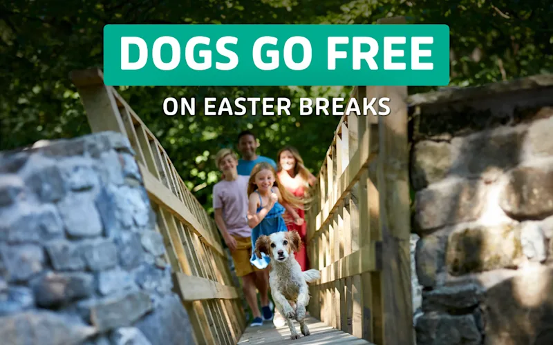 Children in a swimming pool