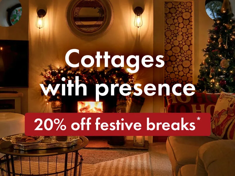 Make it a Christmas to remember