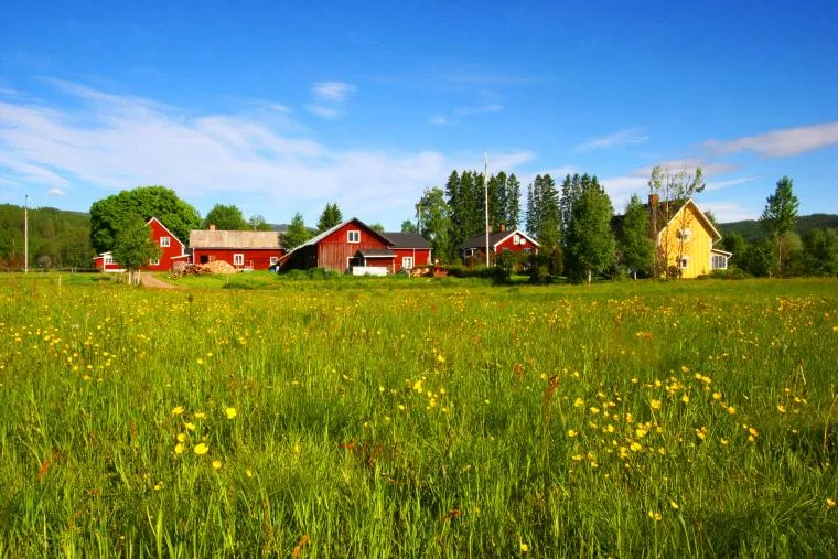 Urlaub Svanskog