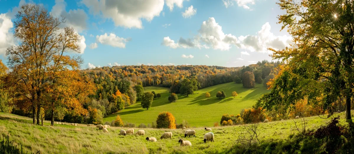 View of the Surrey Hills countryside in England