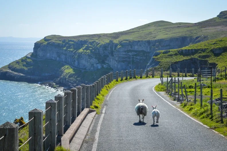 Great Orme, Llandudno, Wales, UK