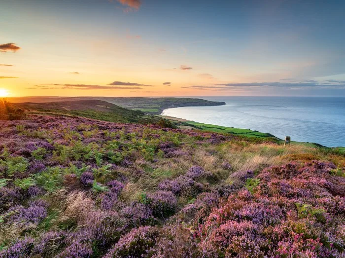 Yorkshire Moors