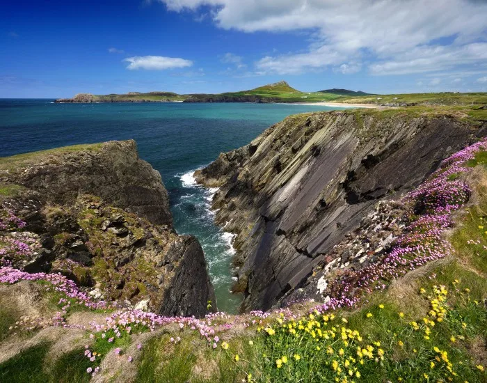 Pembrokeshire Coast Path near Whitesands Bay in St. Davids, Wales