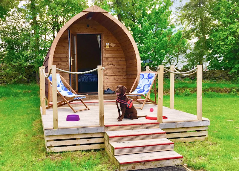 Dog-friendly glamping pod at Longnor Wood Holiday Park (LONW), Longnor, Nr. Buxton, Peak District, Derbyshire, England, UK