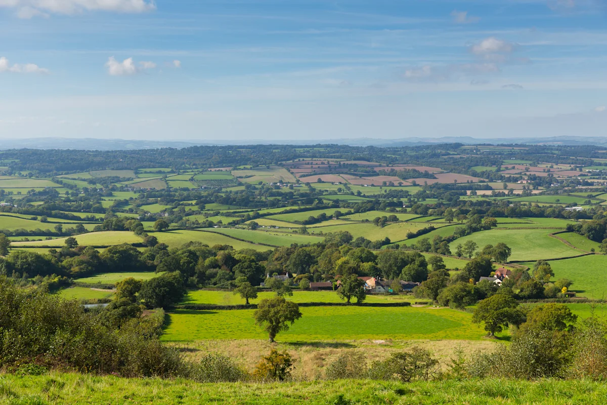 Axminster countryside