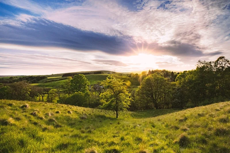 Hexham countryside