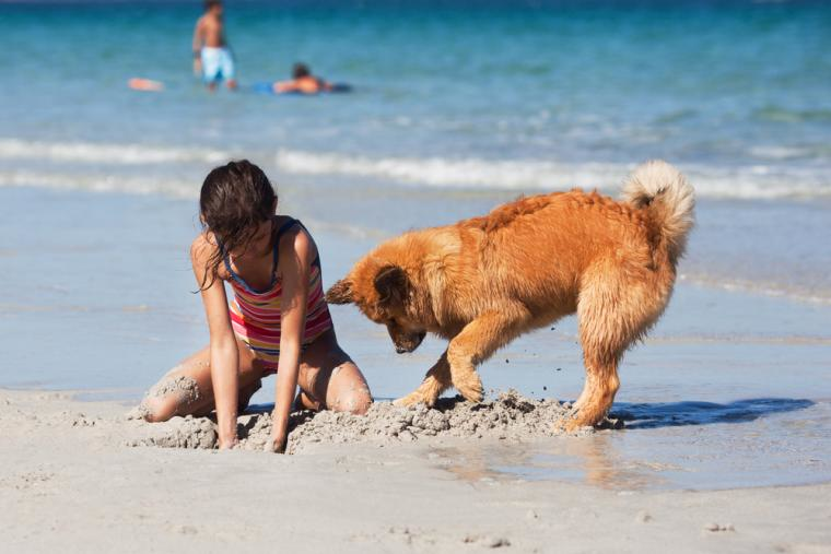 Badeferie ved Vesterhavet med et sommerhus med hund 