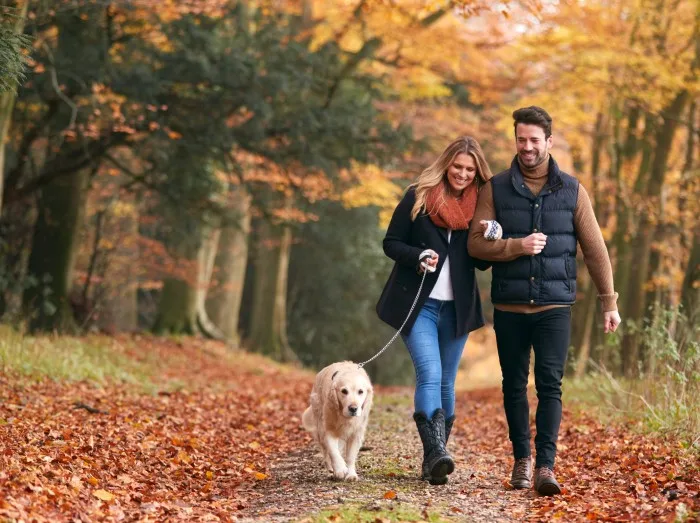 Herbstferien in Europa