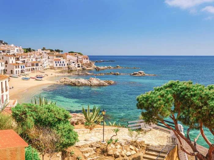 	Beach bay azure turquoise sea water hill pine tree, Cala Gat, Majorca island, Spain