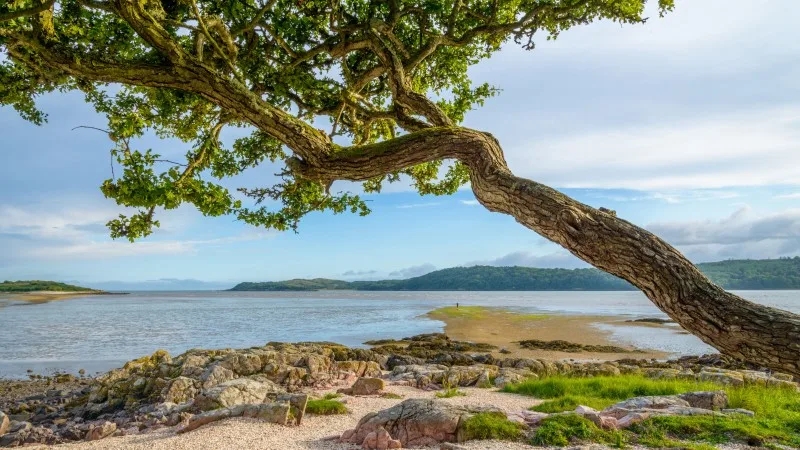 Rockcliffe Coast, Scotland