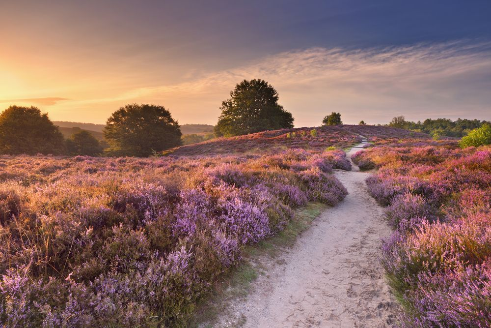 Naturområde i Holland