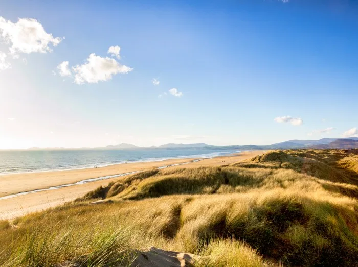 Harlech Beach and Sand Dunes in late afternoon, Gwynedd