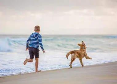 Mit Hund an der Nordsee